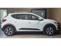 Dacia Sandero Stepway EXPRESSION ECO G 100  4/5 Portes